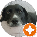 Sally Howard profile picture